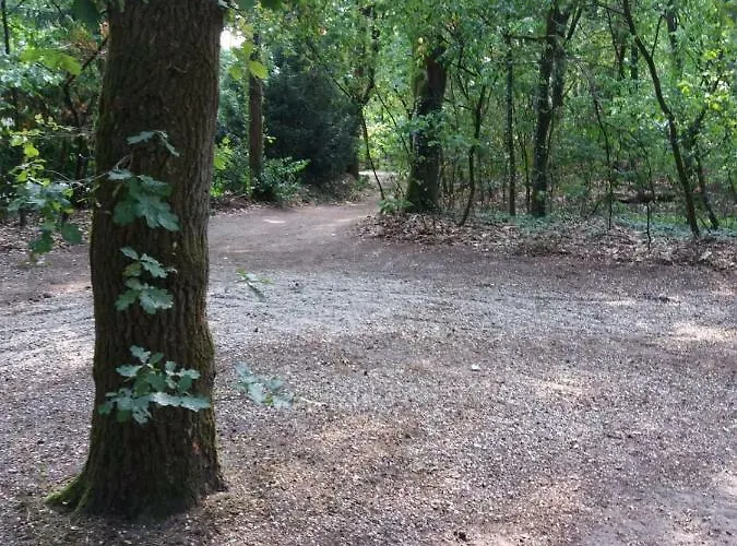 Vakantieboerderij Witte Wieven 17